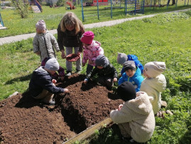 Посадили, огород! Посмотрите, что растёт! Посадили, огород! Посмотрите, что растёт!.